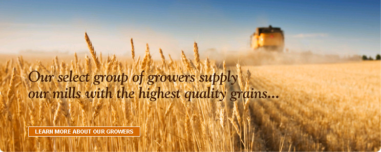 Our select group of growers supply our mills with the highest quality grains... 